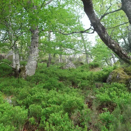 Летний дом San Mames *