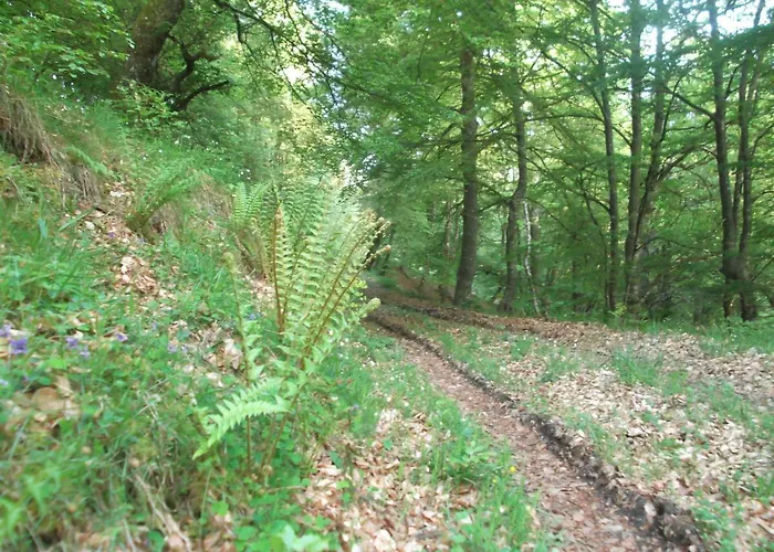 San Mames Сан-Мамес